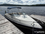 Daycruiser Glastron 229 GS