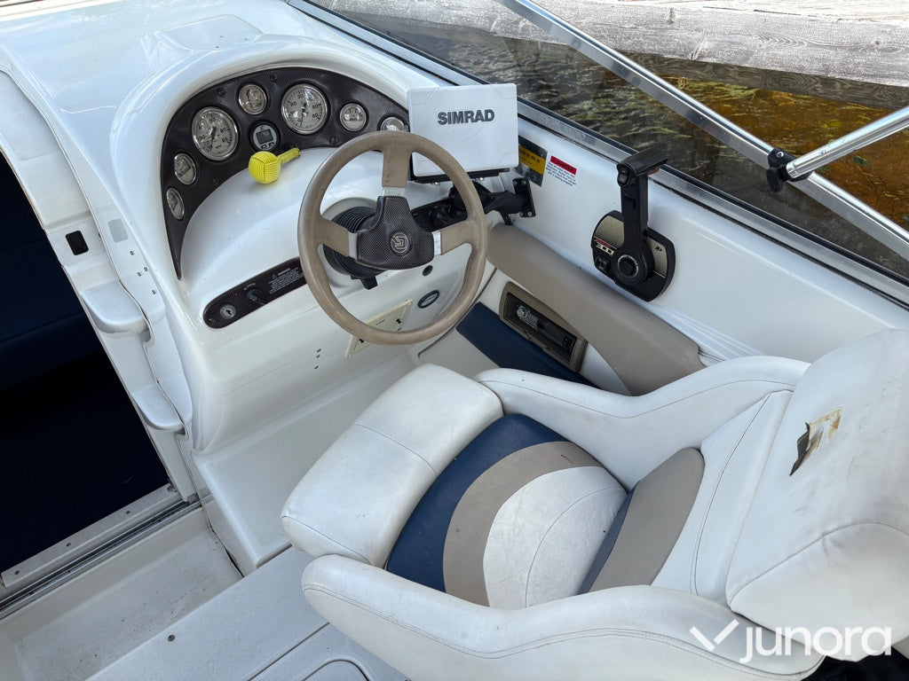 Daycruiser Glastron 229 GS