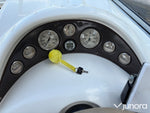 Daycruiser Glastron 229 GS