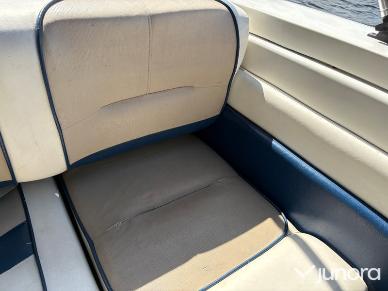 Daycruiser Glastron 229 GS