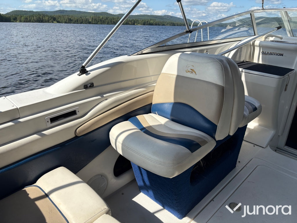 Daycruiser Glastron 229 GS