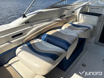 Daycruiser Glastron 229 GS