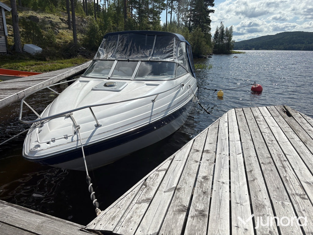 Daycruiser Glastron 229 GS