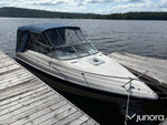 Daycruiser Glastron 229 GS
