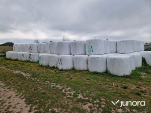 Rundbalar ensilage/hösilage