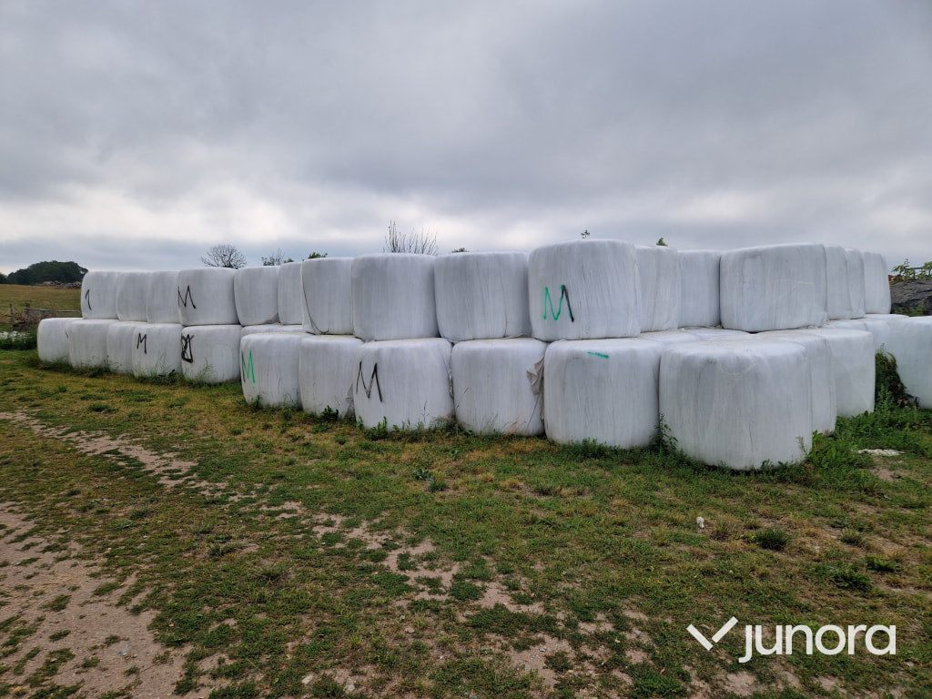 Rundbalar ensilage/hösilage