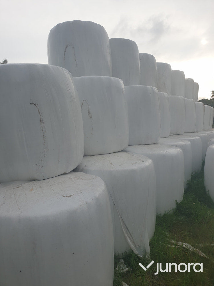 Höensilage
