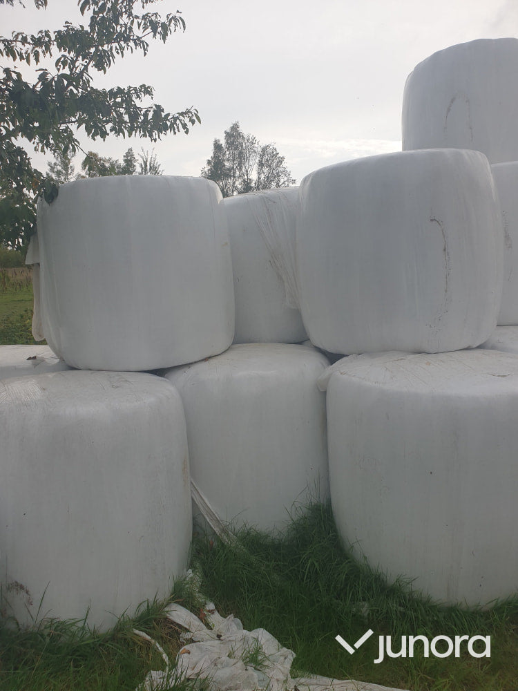 Höensilage