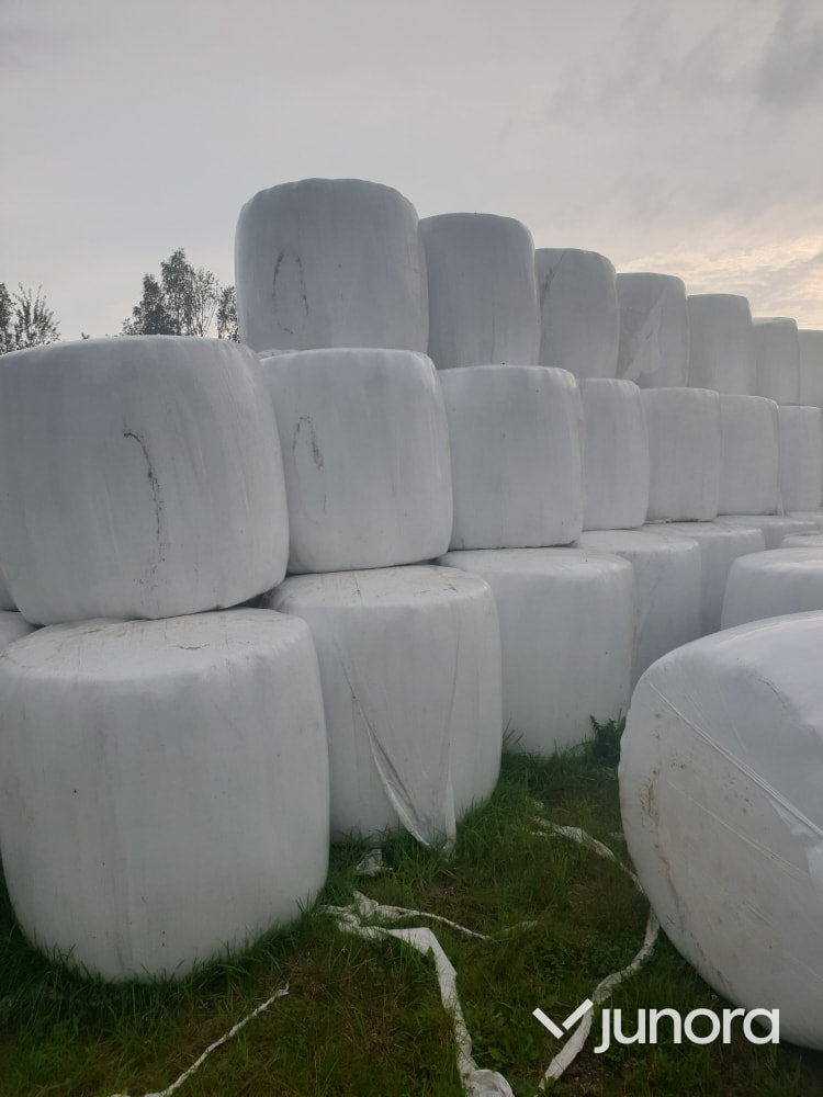 Höensilage