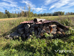 Halvstockar