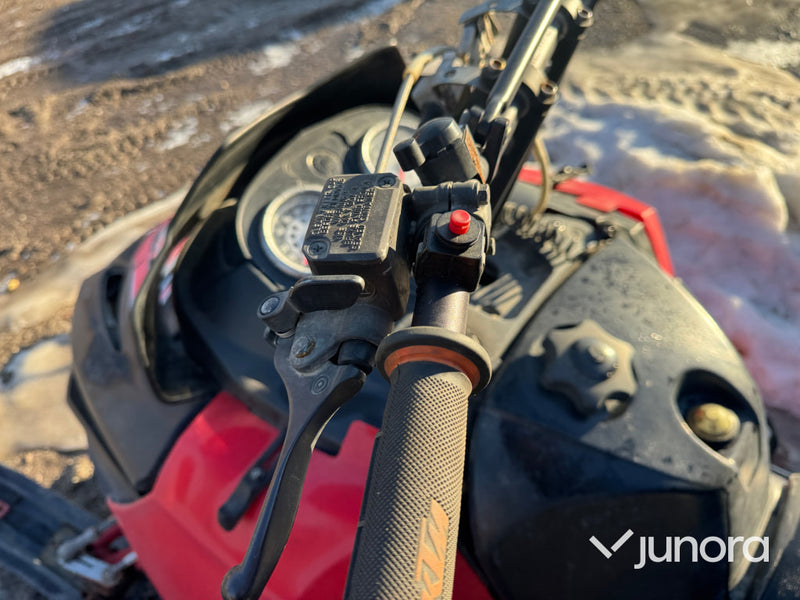 Snöskoter - Lynx, Rave