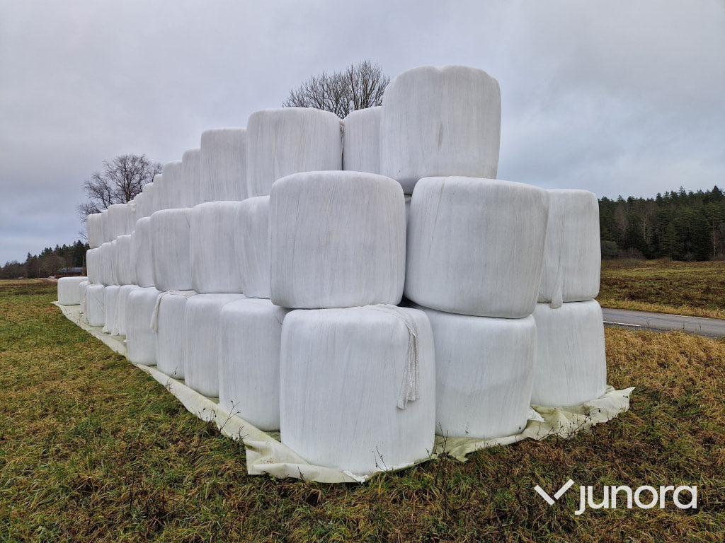 Ensilage - 50 balar, 1:a skörd