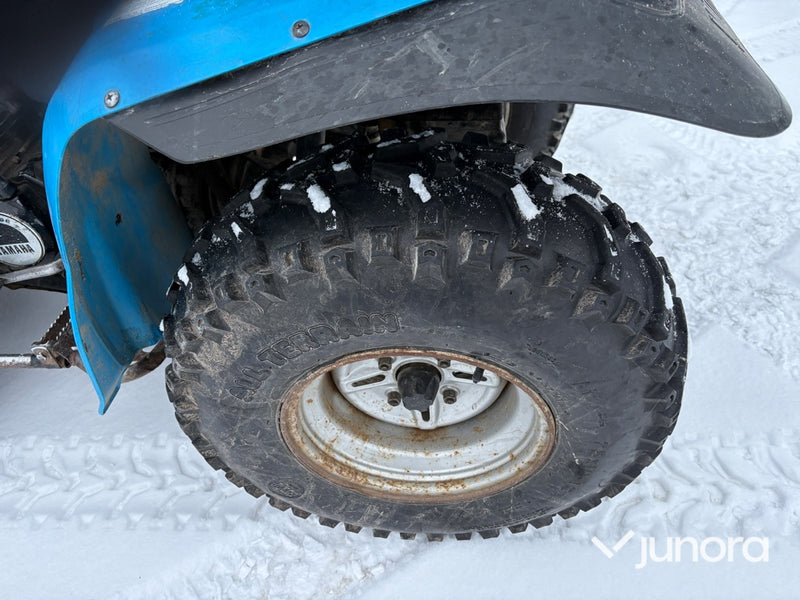 Fyrhjuling - Yamaha, Big Bear 350