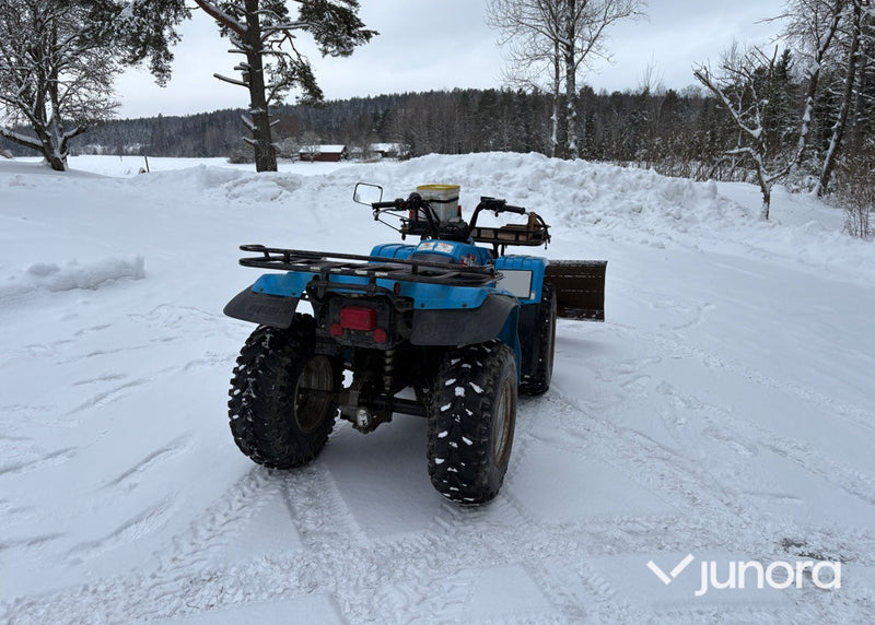 Fyrhjuling - Yamaha, Big Bear 350