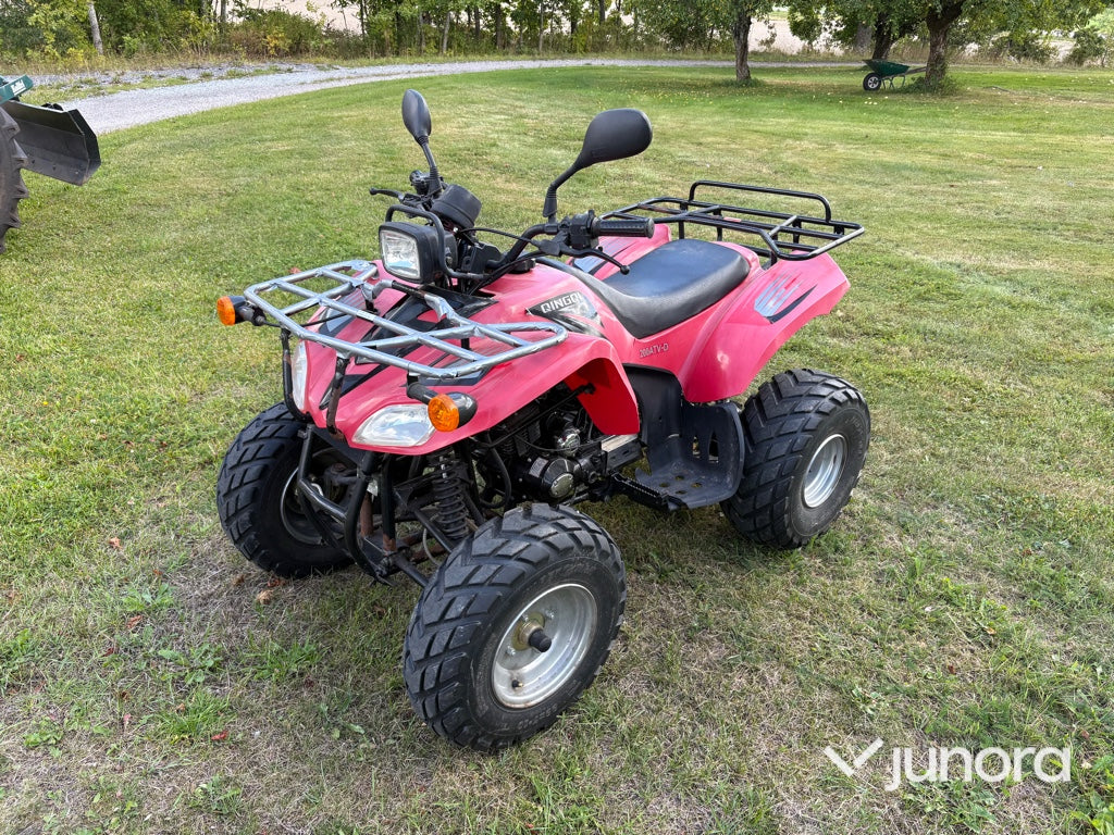 Fyrhjuling med släp QINGQI 200ATV-D