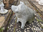 Stenskulptur – gris i granit