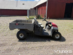 Toro Workman