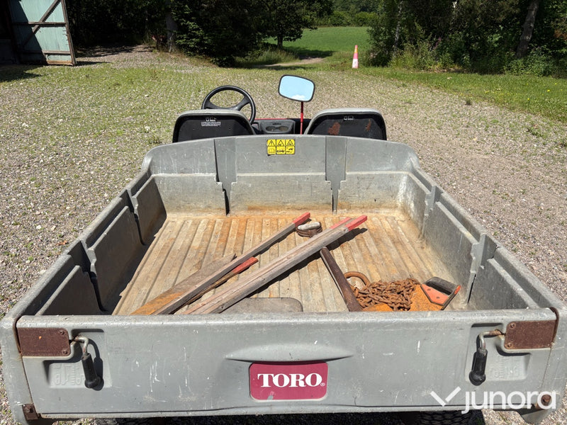 Toro Workman