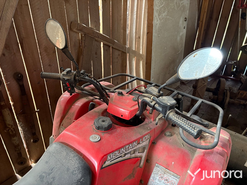 Fyrhjuling Jianshe JS400