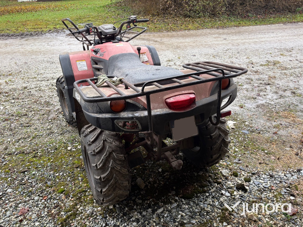 ATV - Keeway, ATV300