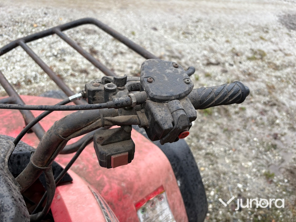 ATV - Keeway, ATV300