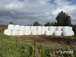 Höensilage 2025