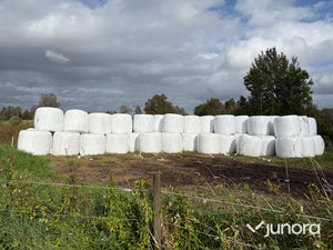 Höensilage 2025