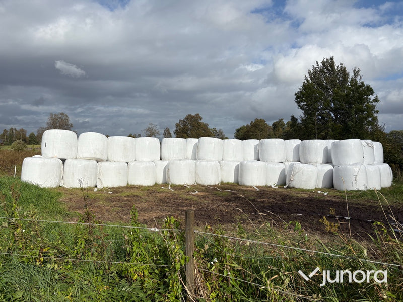 Höensilage 2025