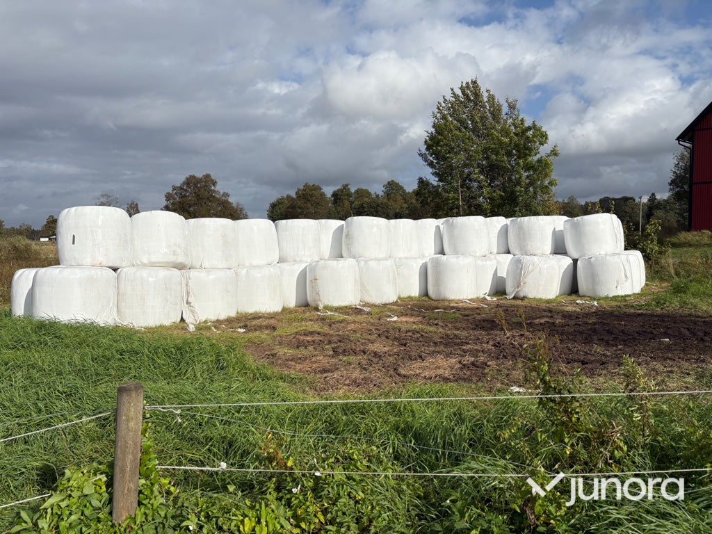 Höensilage 2025
