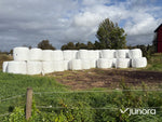 Höensilage 2025