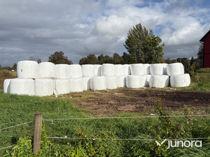 Höensilage 2025