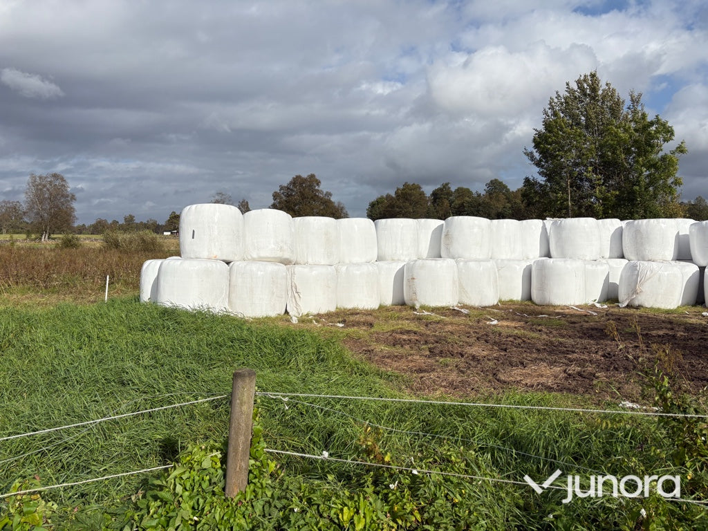 Höensilage 2025