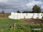 Höensilage 2025