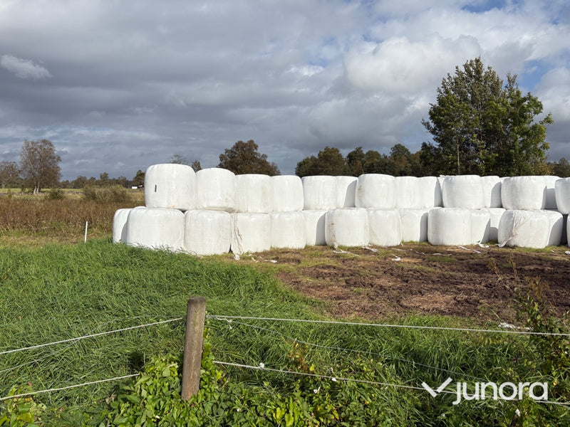 Höensilage 2025