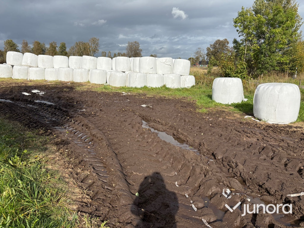 Höensilage 2025