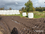 Höensilage 2025