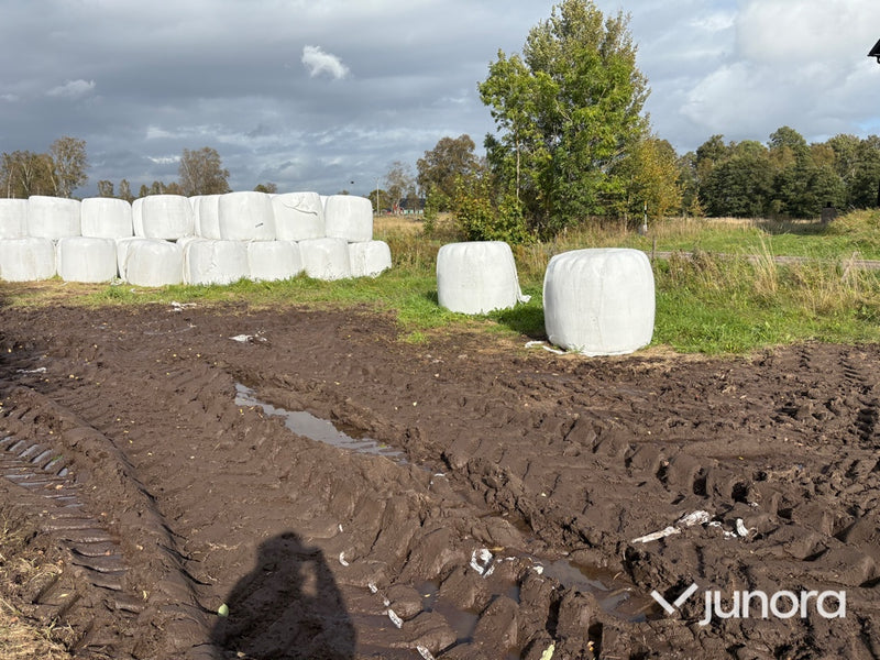 Höensilage 2025