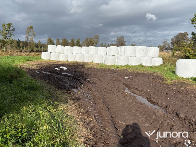 Höensilage 2025