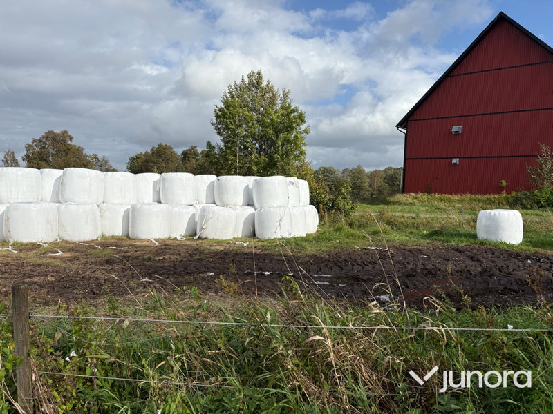 Höensilage 2025