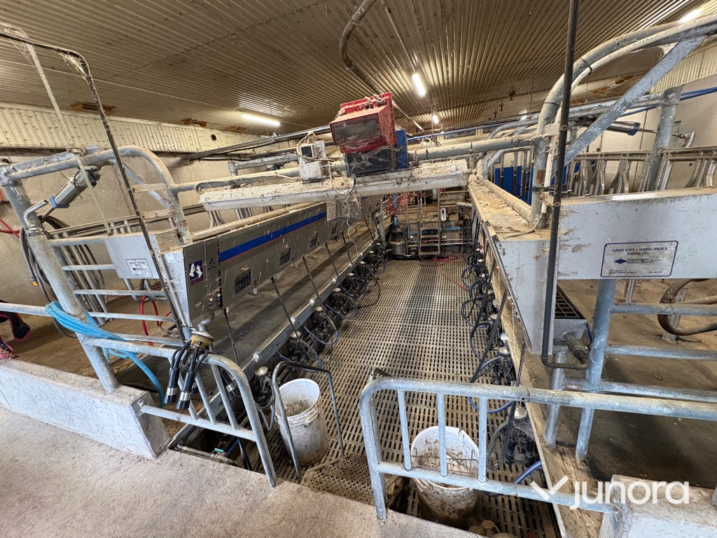 Mjölkgrop, Mjölkningsanläggning - Alfa Laval, Blue Diamond