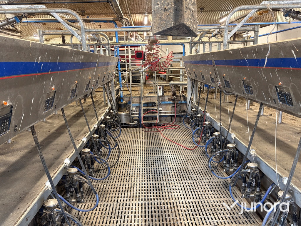 Mjölkgrop, Mjölkningsanläggning - Alfa Laval, Blue Diamond