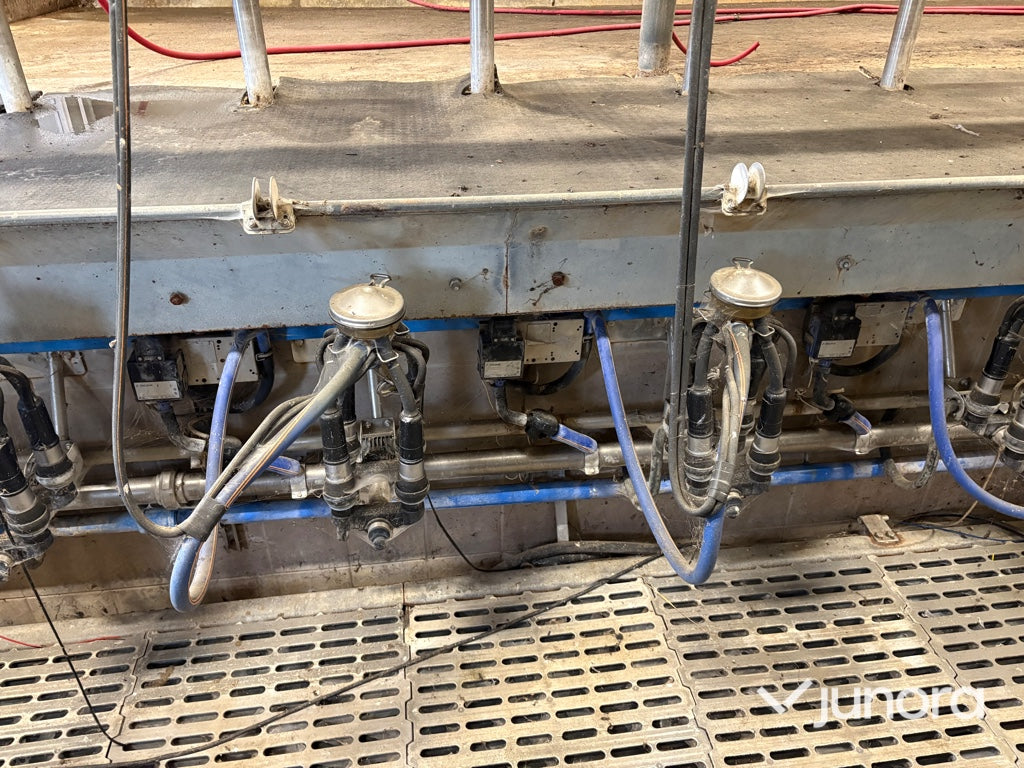 Mjölkgrop, Mjölkningsanläggning - Alfa Laval, Blue Diamond
