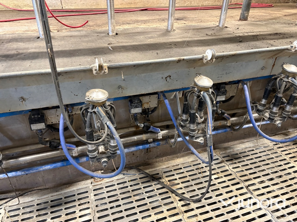 Mjölkgrop, Mjölkningsanläggning - Alfa Laval, Blue Diamond