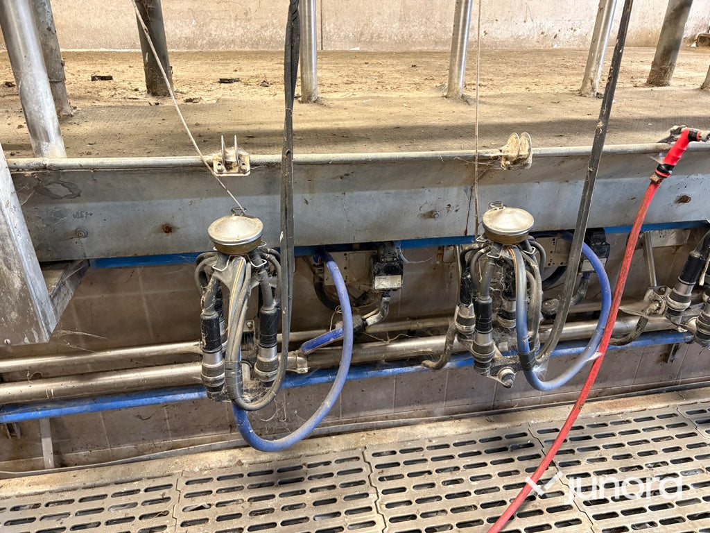 Mjölkgrop, Mjölkningsanläggning - Alfa Laval, Blue Diamond