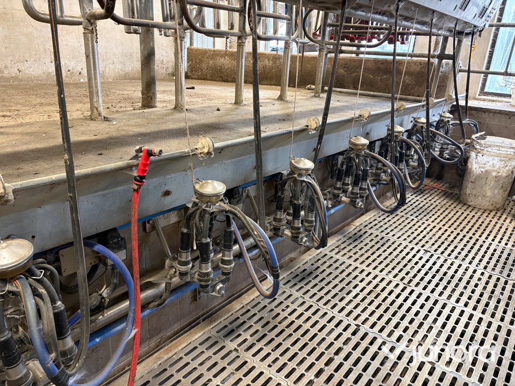 Mjölkgrop, Mjölkningsanläggning - Alfa Laval, Blue Diamond