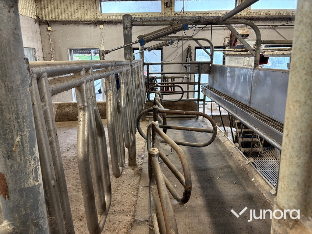 Mjölkgrop, Mjölkningsanläggning - Alfa Laval, Blue Diamond