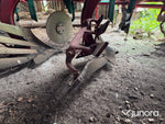 Plog Kverneland Ed 85