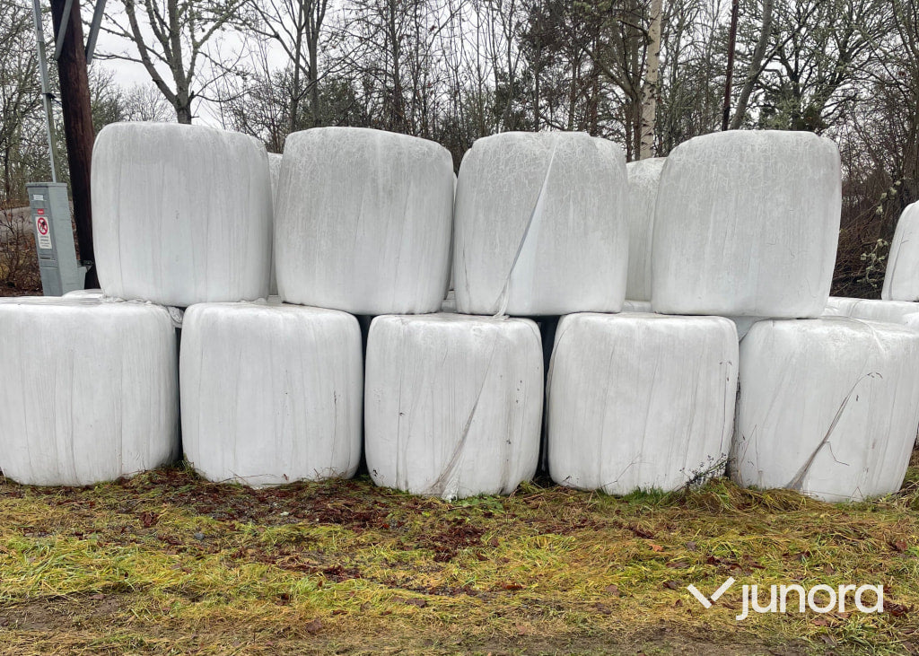 Ensilage - 49st