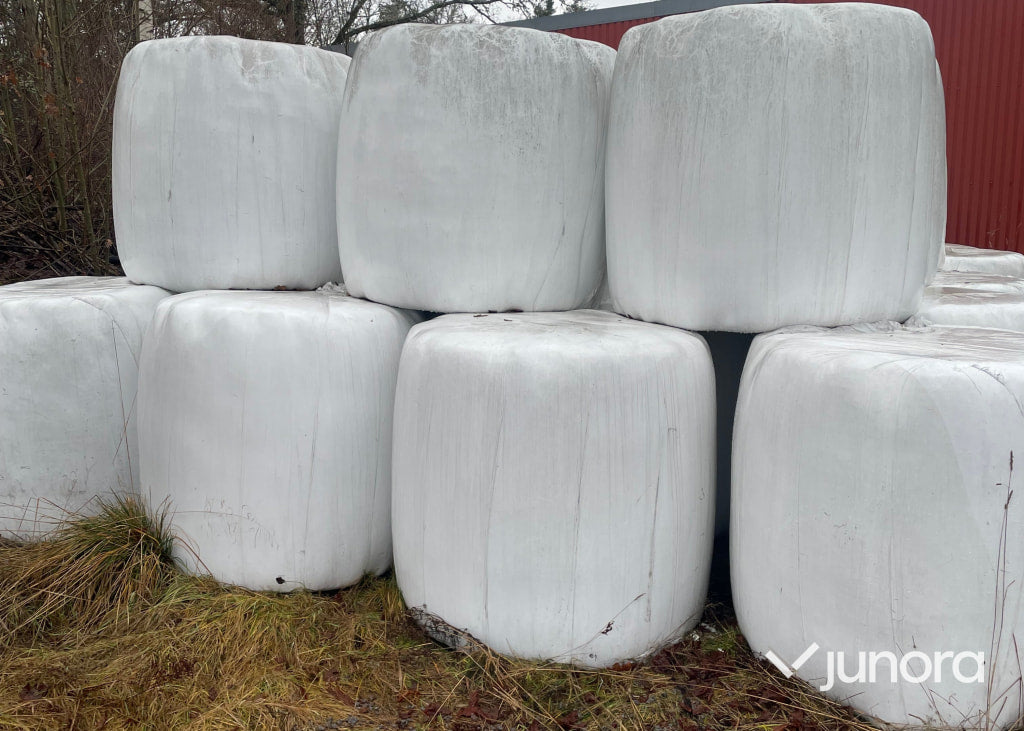Ensilage - 49st