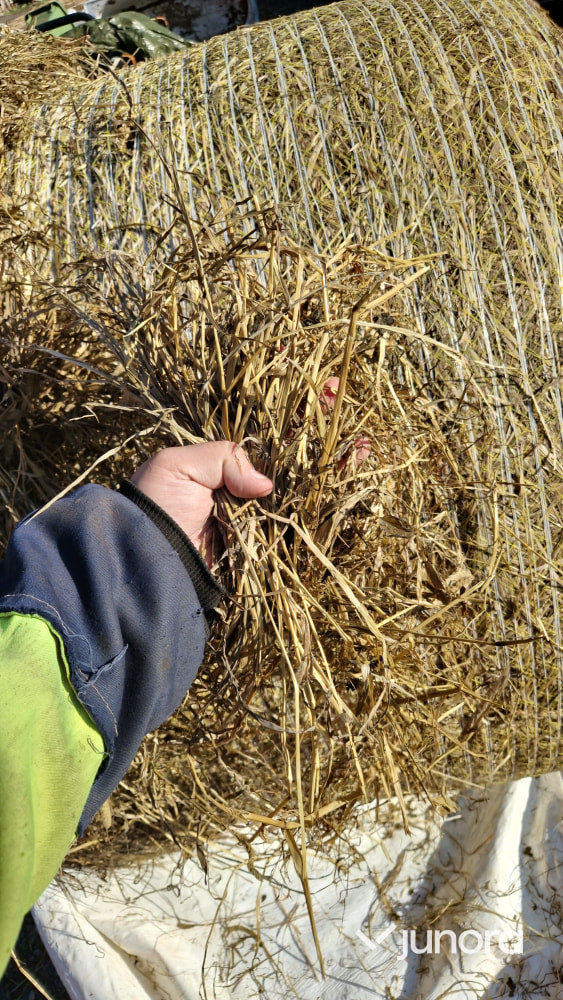 Rundbalar ensilage/hösilage